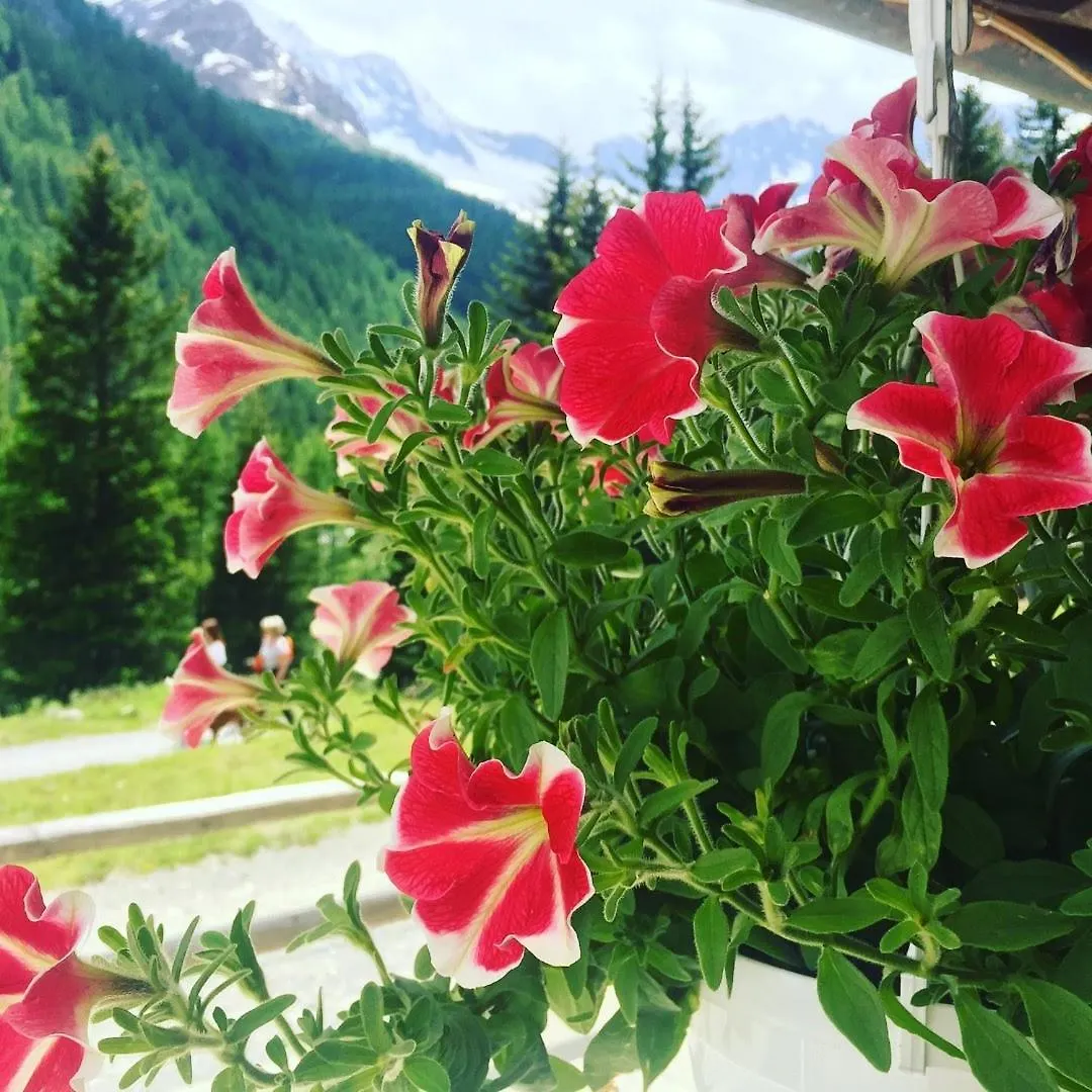 Hotel Gembro Chiesa in Valmalenco
